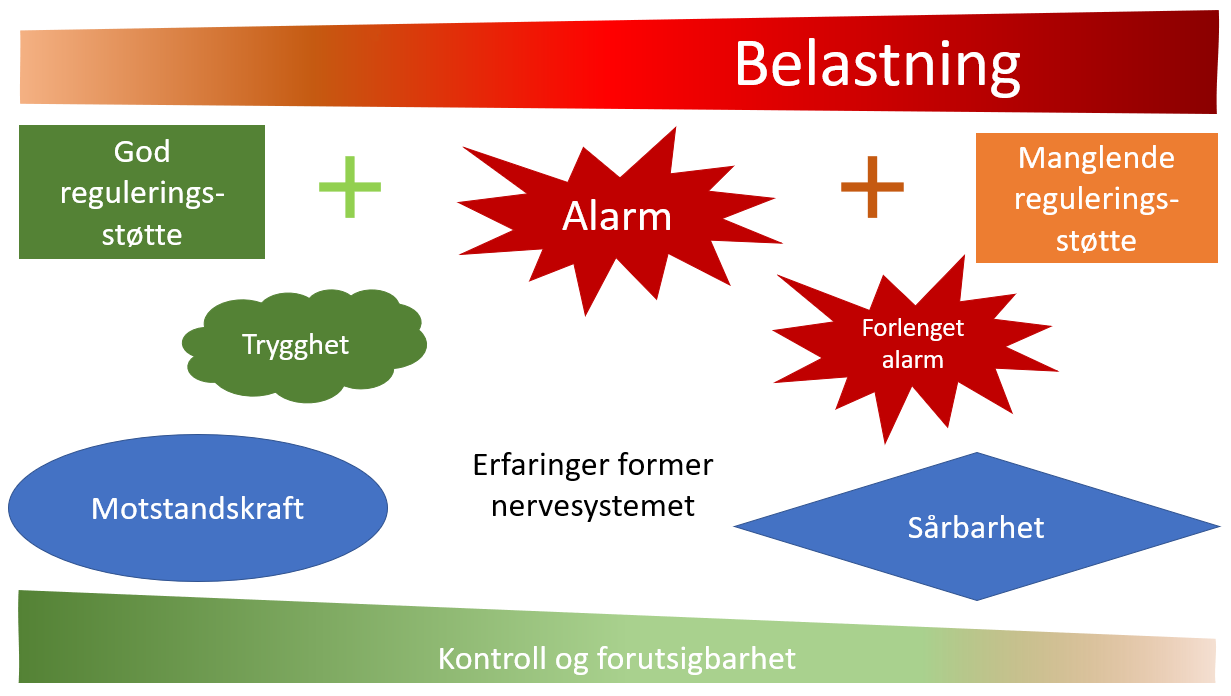 Illustrasjon av hvordan belastninger får verre konsekvenser hvis man har manglende reguleringsstøtte, lite kontroll og forutsigbarhet. Erfaringer former nervesystemet.